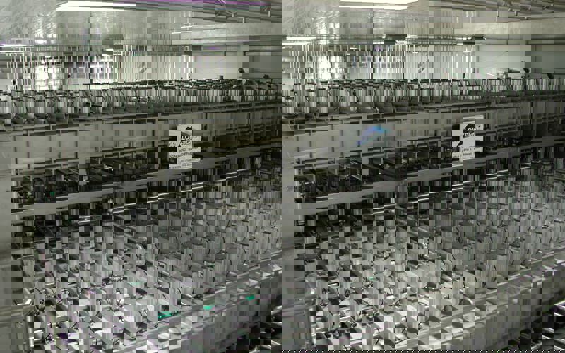 Gestapelde Persen 2 Min