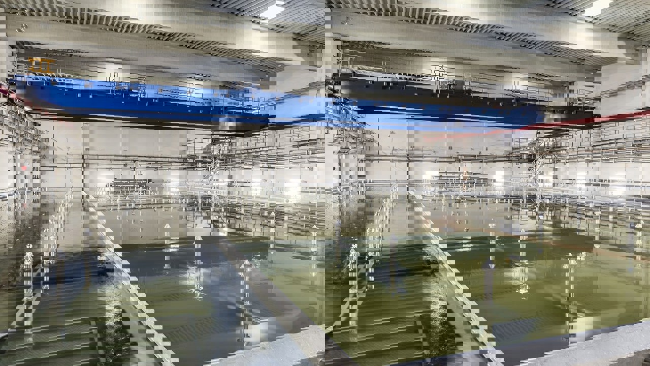 Automatisch dieppekelsysteem voor brood kaas